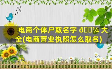 电商个体户取名字 🌼 大全(电商营业执照怎么取名)